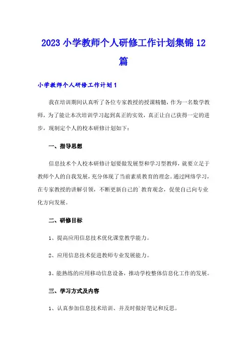 2023小学教师个人研修工作计划集锦12篇