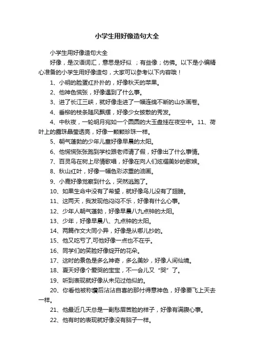 小学生用好像造句大全
