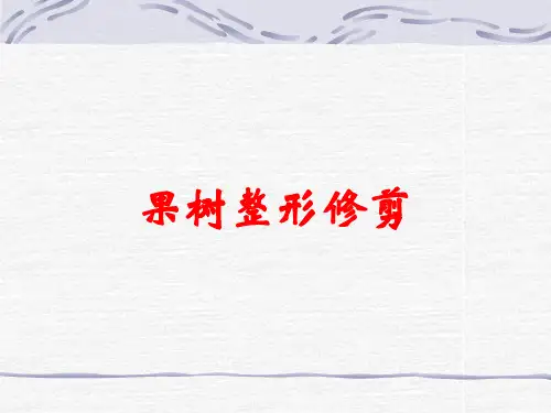 果树整形修剪