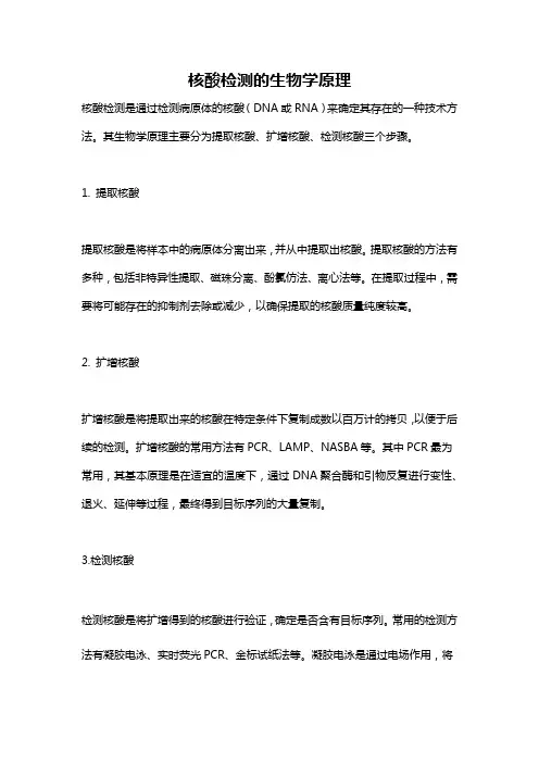 核酸检测的生物学原理