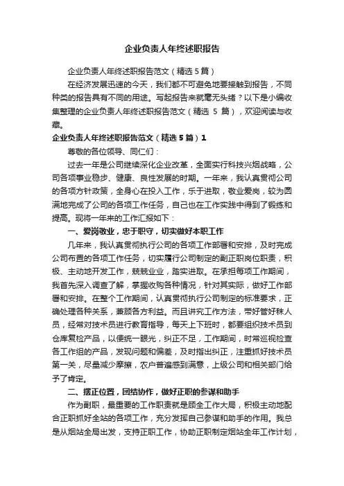 企业负责人年终述职报告范文（精选5篇）