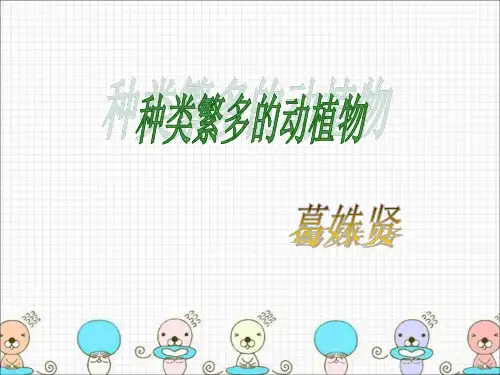 种类繁多的植物ppt