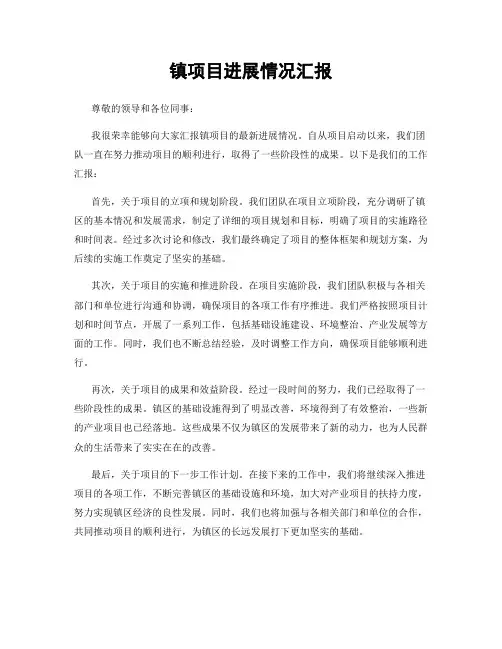 镇项目进展情况汇报
