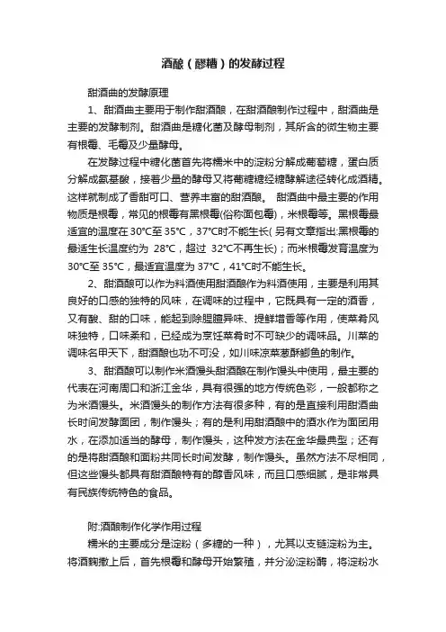酒酿（醪糟）的发酵过程