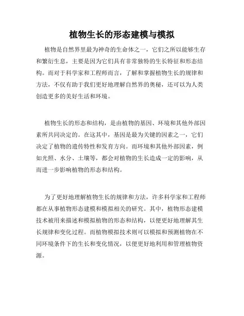 植物生长的形态建模与模拟