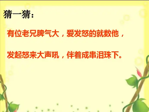 人教版小学二年级语文下册第18课《雷雨》原创优秀课件