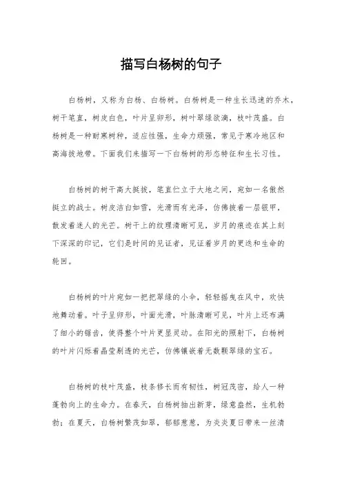 描写白杨树的句子