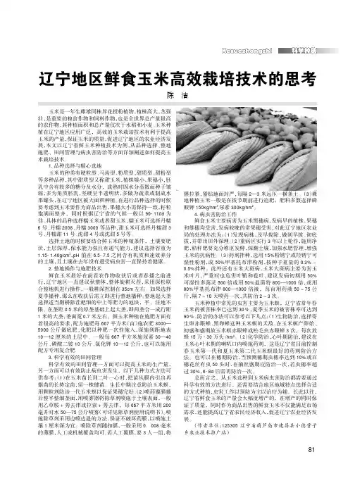 辽宁地区鲜食玉米高效栽培技术的思考