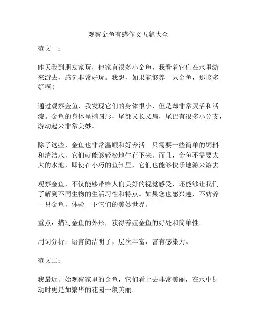 观察金鱼有感作文五篇大全