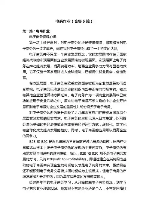 电商作业（合集5篇）