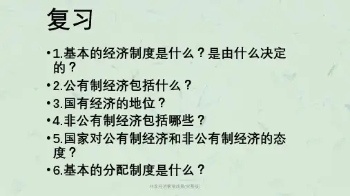 共享经济繁荣成果(完整版)课件