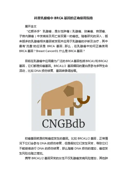 科普乳腺癌中BRCA基因的正确使用指南