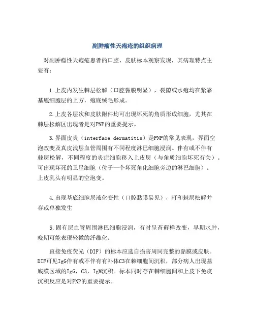 副肿瘤性天疱疮的组织病理