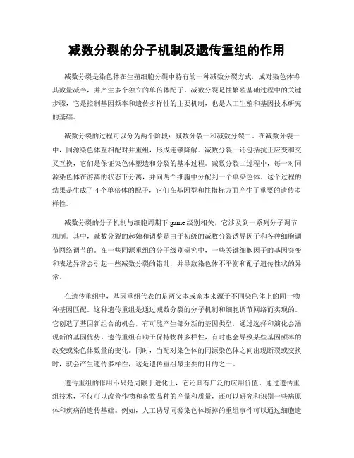 减数分裂的分子机制及遗传重组的作用