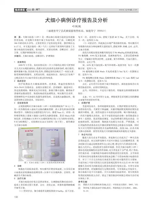 犬细小病例诊疗报告及分析