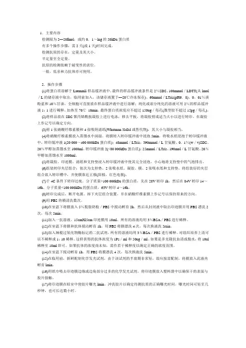 免疫印迹操作步骤