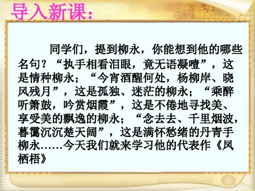 凤栖梧.柳永《凤栖梧》ppt课件