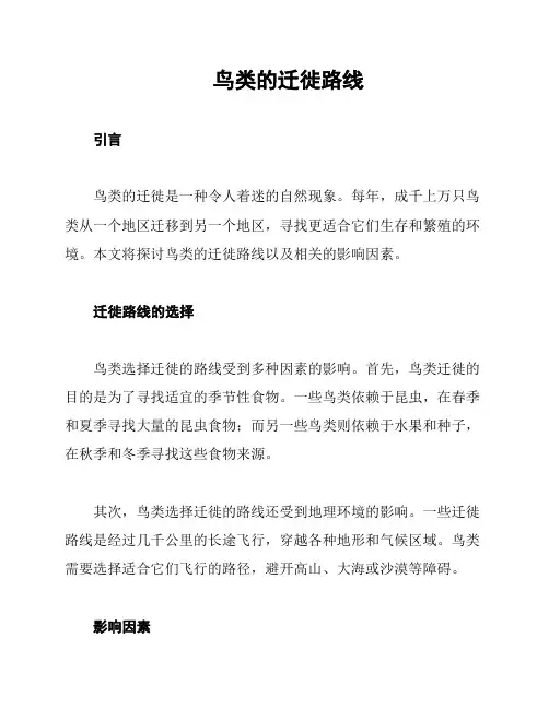 鸟类的迁徙路线