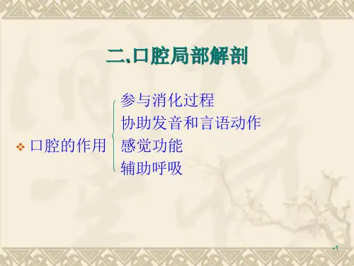 口腔局部解剖精选演示PPT