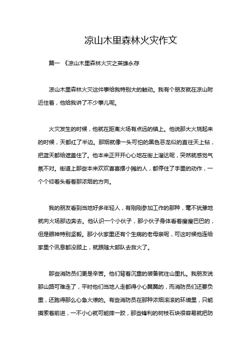 凉山木里森林火灾作文