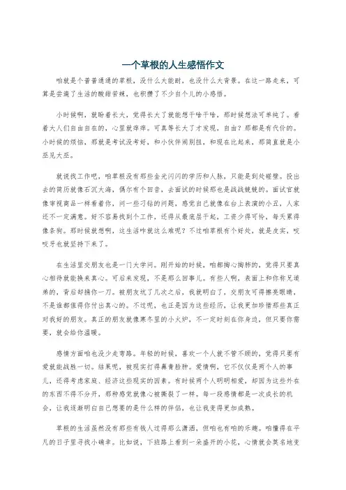 一个草根的人生感悟作文
