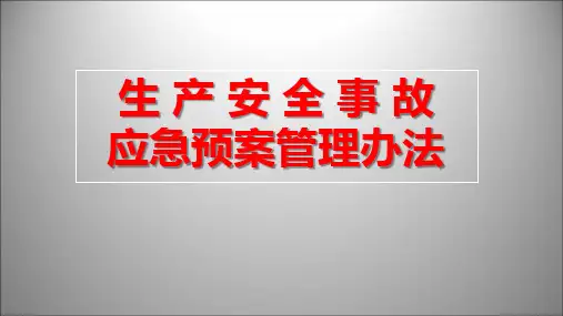 生产安全事故应急预案管理办法(2019)66