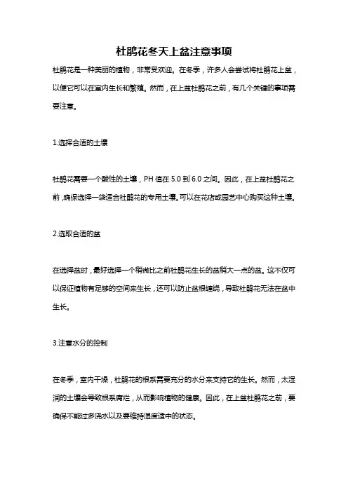 杜鹃花冬天上盆注意事项