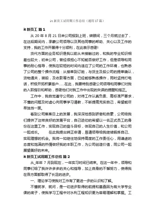 it新员工试用期工作总结（通用17篇）
