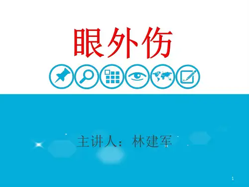 眼外伤的护理PPT课件