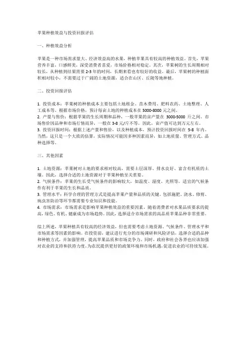 苹果种植效益与投资回报评估