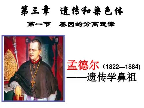 南京市金陵中学河西分校高中生物必修2《3-1 基因的分离定律》课件