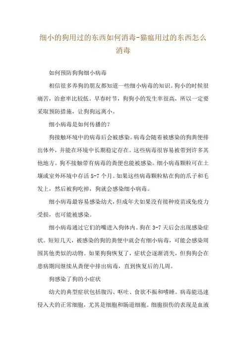 细小的狗用过的东西如何消毒-猫瘟用过的东西怎么消毒