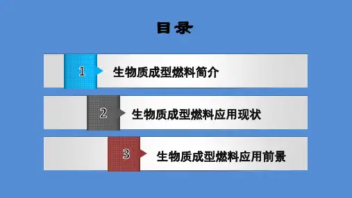 生物质燃料的应用