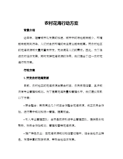 农村花海行动方案