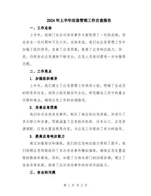 2024年上半年应急管理工作自查报告