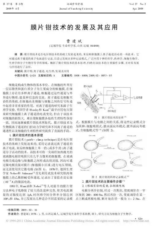 膜片钳技术的发展及其应用