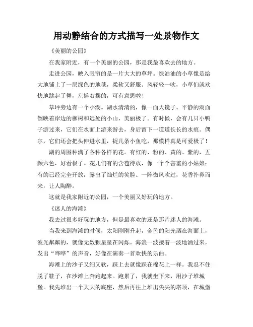 用动静结合的方式描写一处景物作文