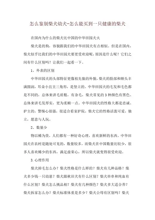 怎么鉴别柴犬幼犬-怎么能买到一只健康的柴犬