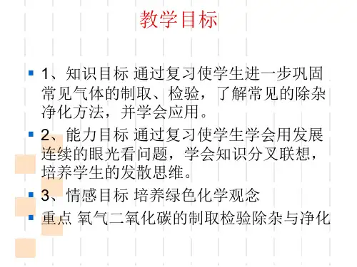 重要气体的制取检验除杂与净化ppt课件