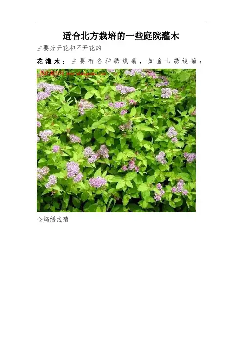 适合北方栽培地一些庭院灌木