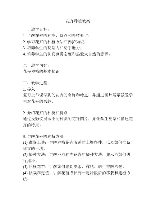 花卉种植教案