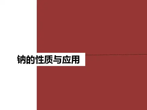 钠的性质与应用