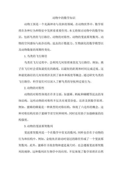 动物中的数学知识