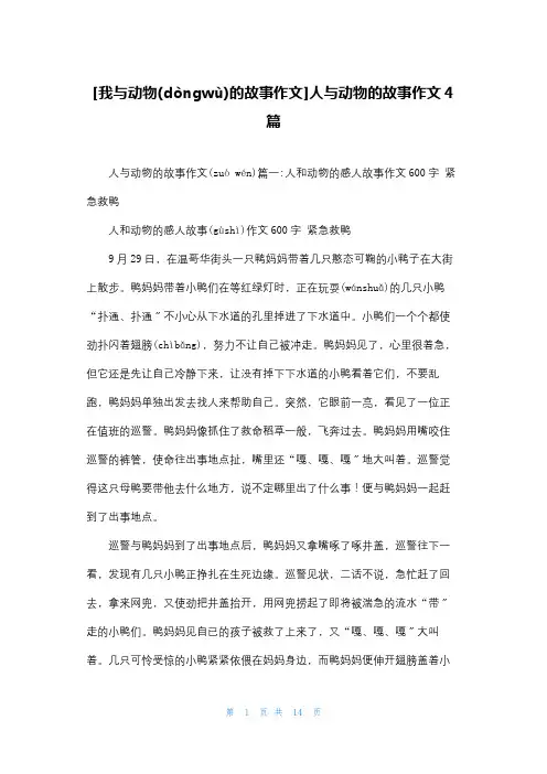 [我与动物的故事作文]人与动物的故事作文4篇