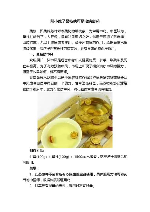 别小瞧了桑枝他可是治病良药