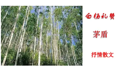 人教部编版八年级语文上册14《白杨礼赞》课件(共40张PPT)