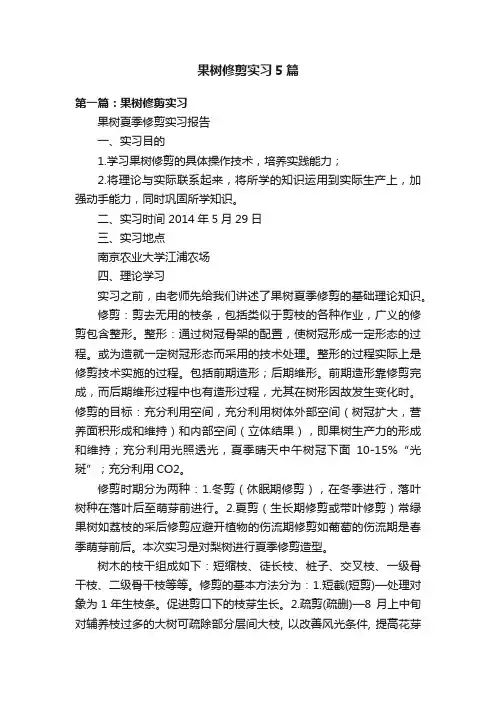 果树修剪实习5篇
