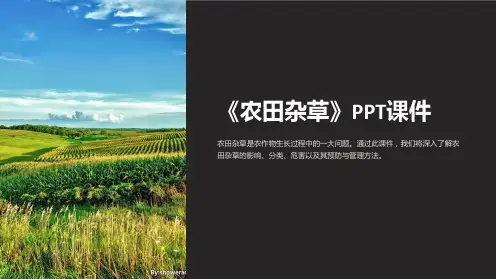 《农田杂草》课件