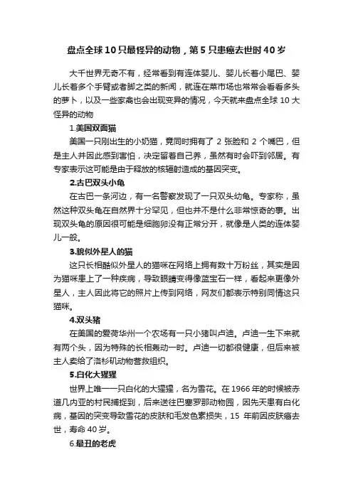 盘点全球10只最怪异的动物，第5只患癌去世时40岁