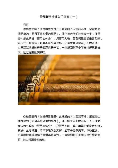 雪茄新手快速入门指南（一）